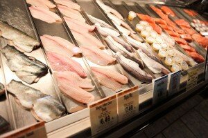 Sliced fish displayed in rows at the fish counter at Wegmans on Amherst Street