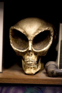 fake alien skull